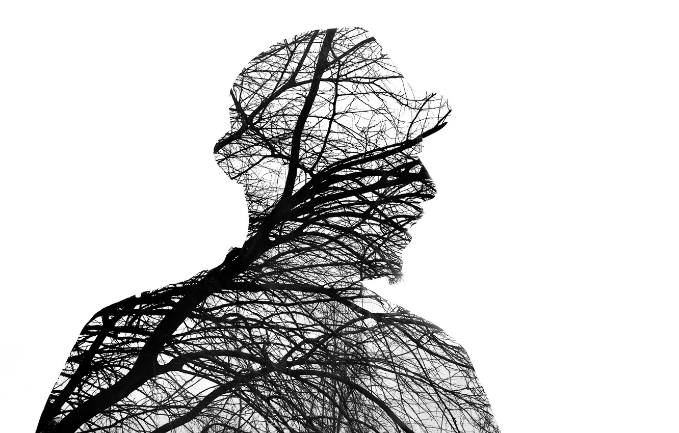 Photo wallpaper man, branches, silhouette