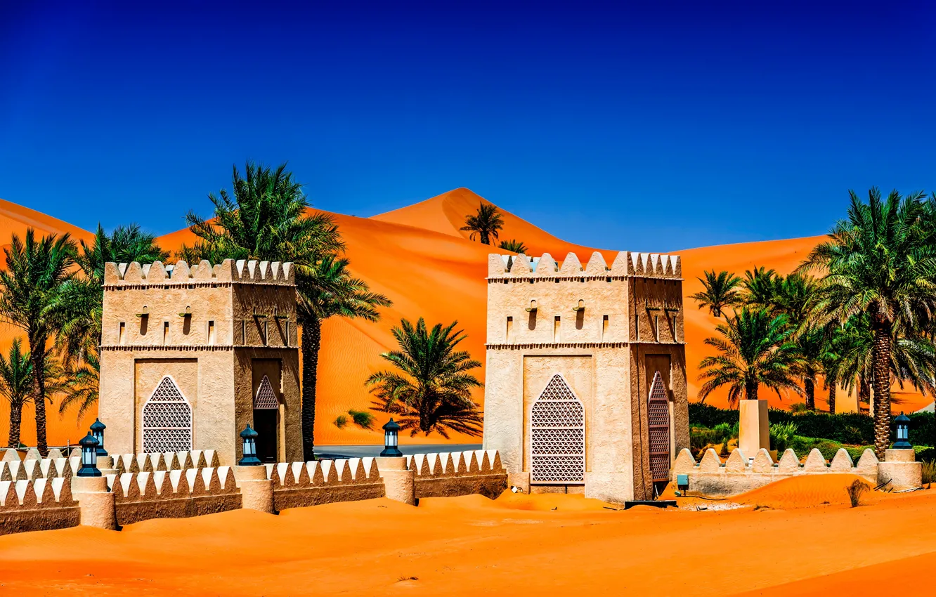 Photo wallpaper sand, the sky, the sun, the dunes, palm trees, Abu Dhabi, UAE