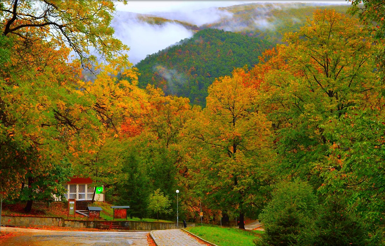 Photo wallpaper Nature, Road, Autumn, Trees, Hills, Fall, Autumn, Road