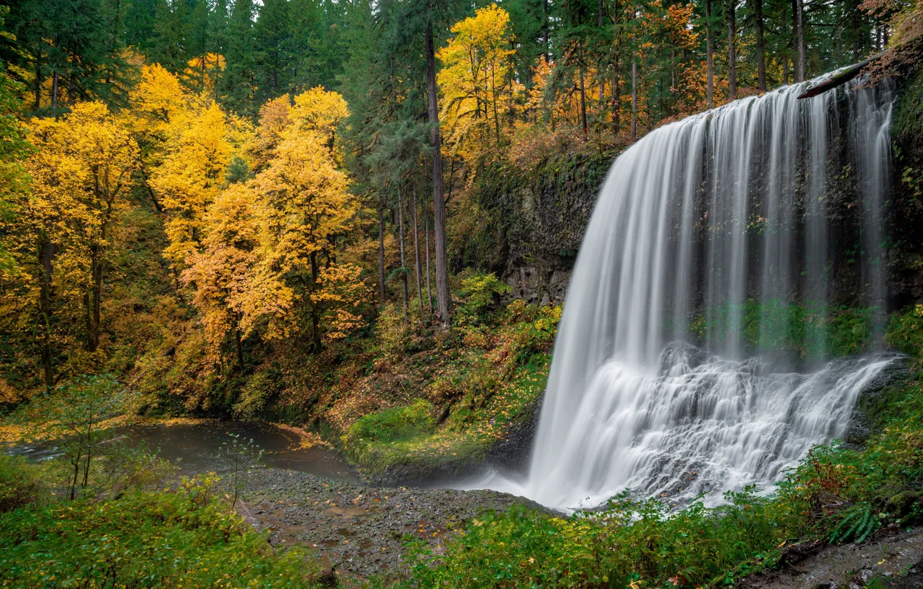 Photo wallpaper autumn, forest, waterfall