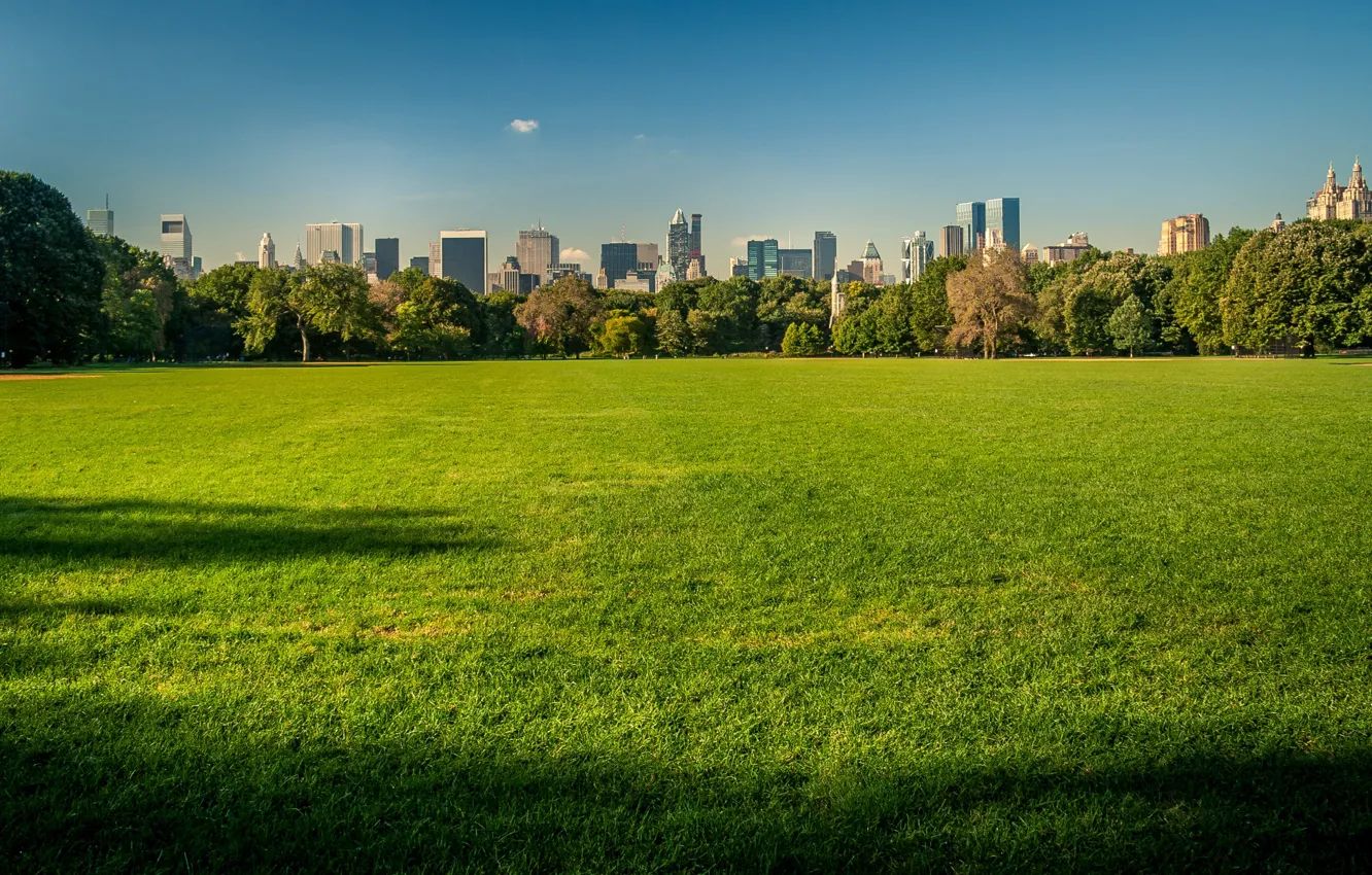 Photo wallpaper the sky, grass, building, New York, USA, Central Park