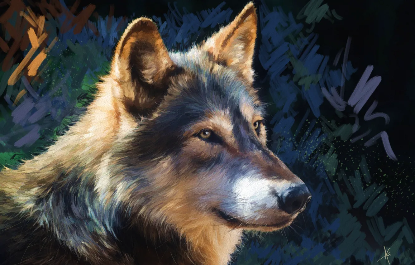 Photo wallpaper look, face, grey, background, wolf, portrait, painting, strokes