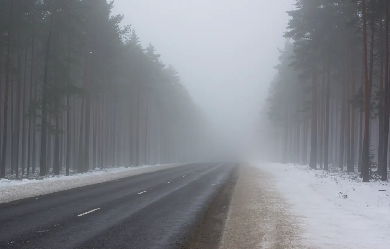 Photo wallpaper road, forest, snow, trees, fog, Winter, the evening, frost