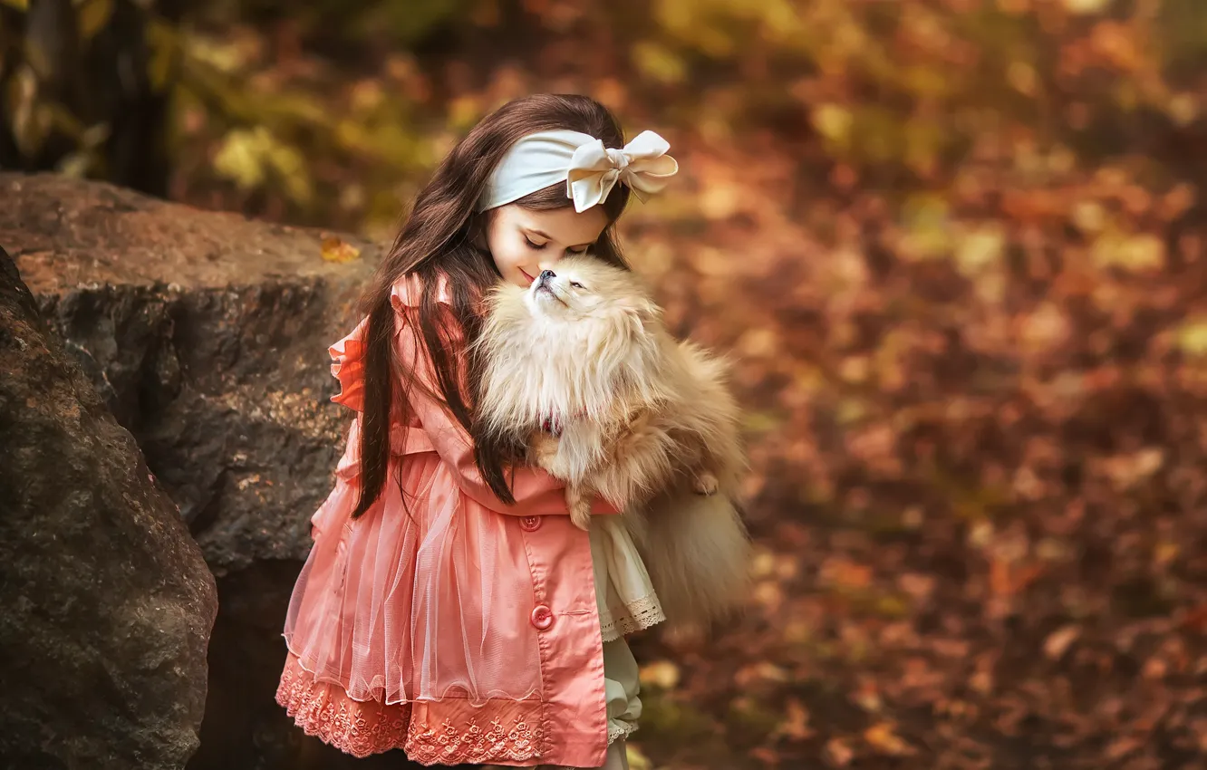 Photo wallpaper autumn, mood, dog, friendship, girl, bow, friends, bokeh