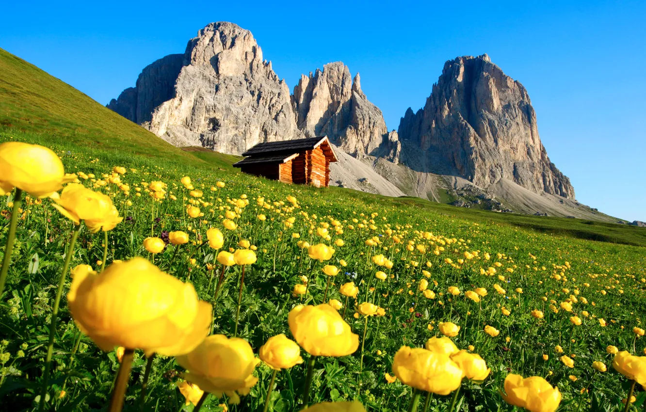 Photo wallpaper the sky, flowers, mountains, slope, house