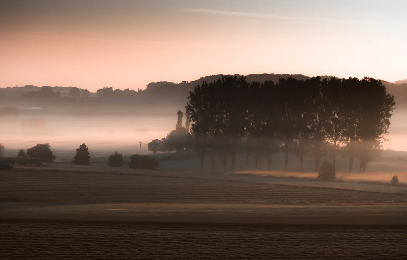 Photo wallpaper field, fog, the evening