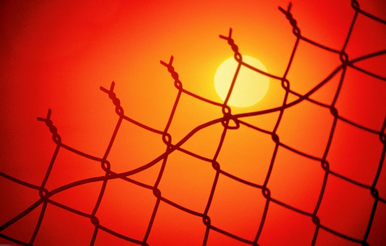 Photo wallpaper the sun, sunset, wire, area