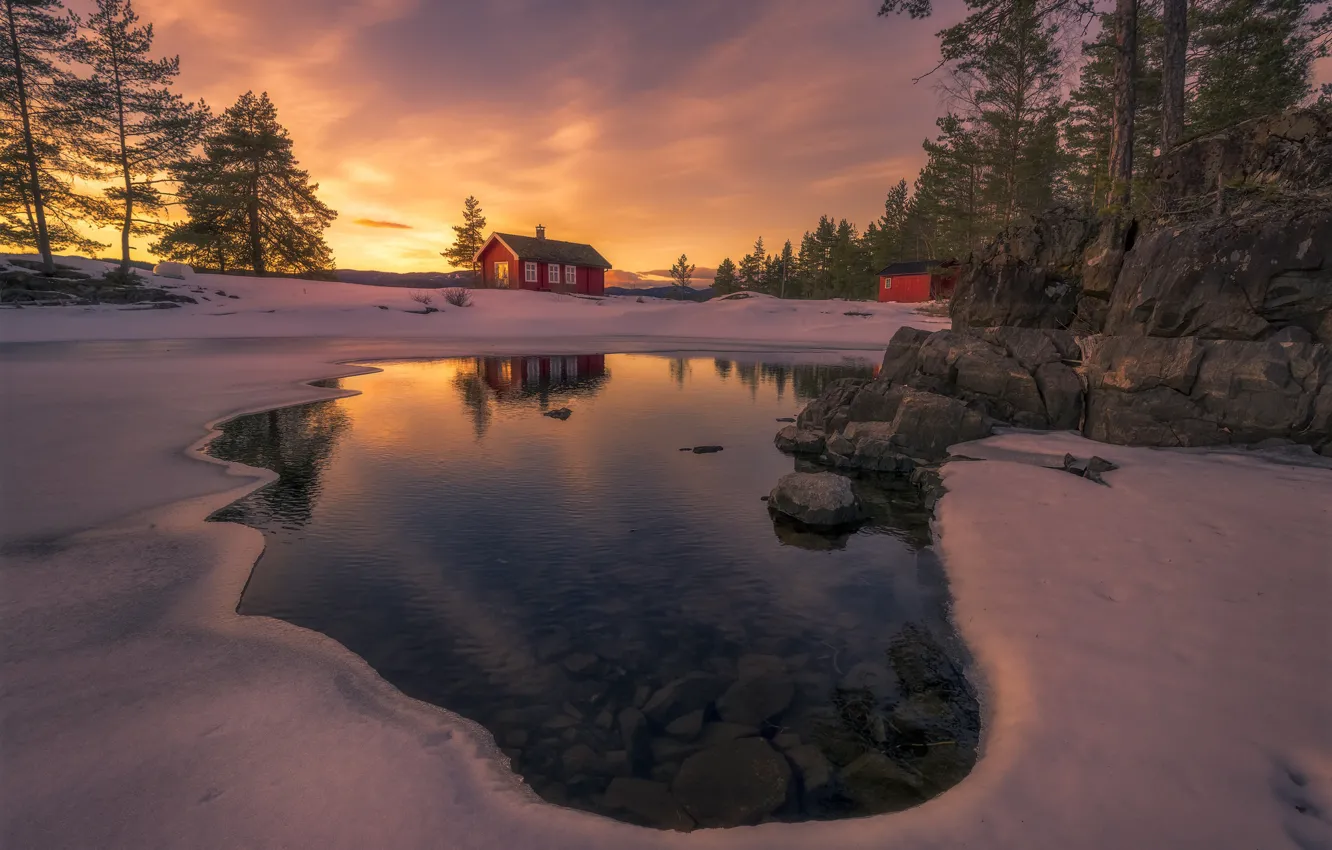 Photo wallpaper winter, forest, houses, lake