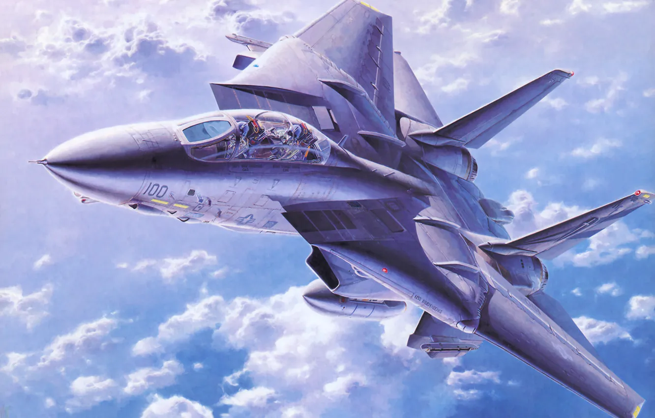 Photo wallpaper war, art, painting, jet, F-14 Tomcat