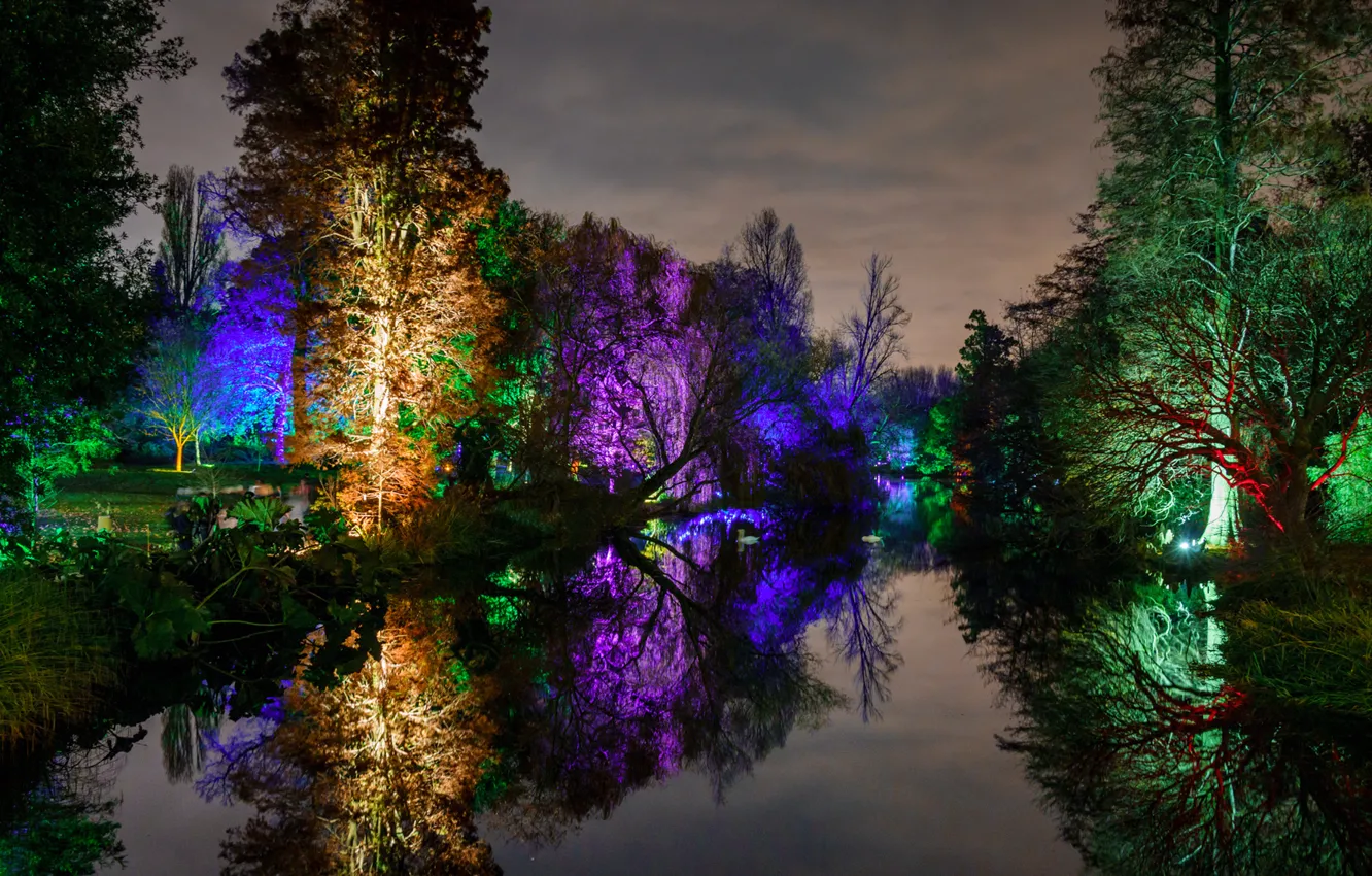 Photo wallpaper light, trees, night, lights, pond, Park
