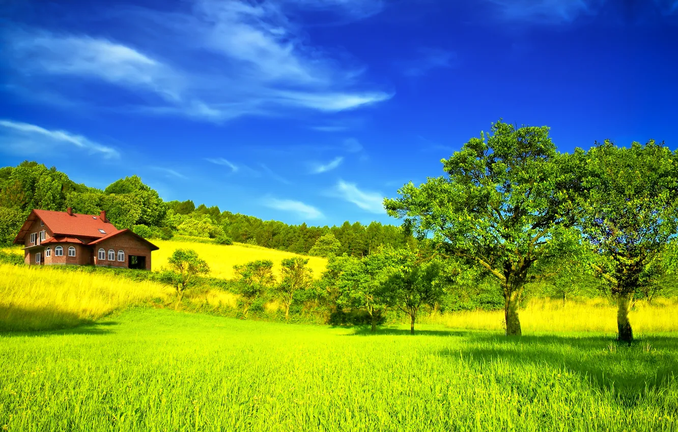 Photo wallpaper field, summer, the sky, clouds, trees, home, summer, house