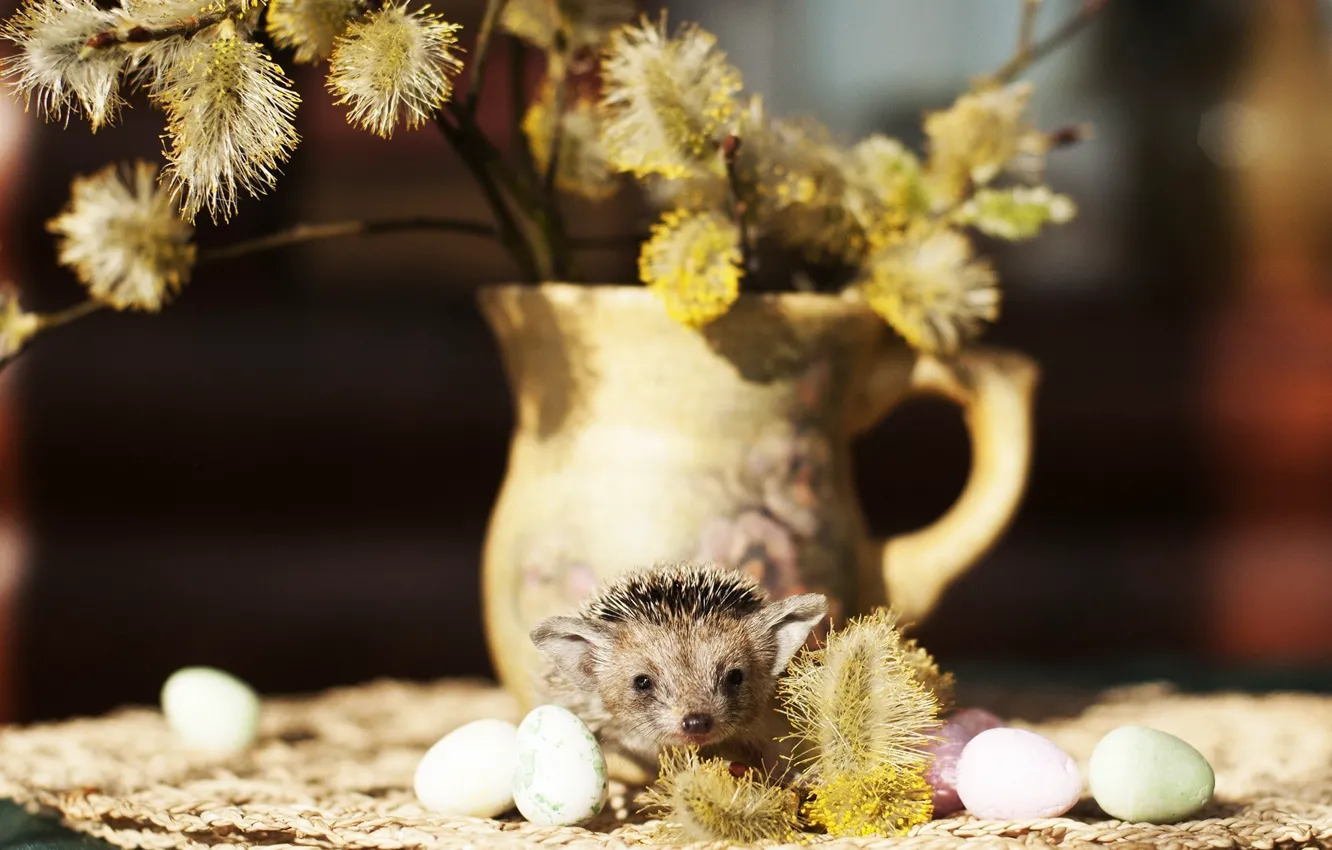 Photo wallpaper vase, hedgehog, willow twigs, quail eggs