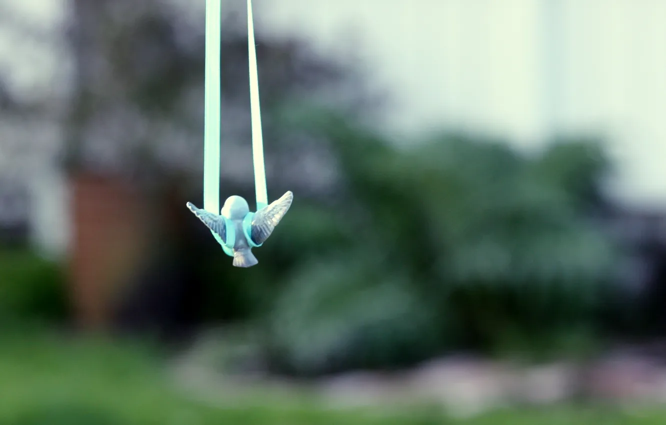 Photo wallpaper flight, toy, rope, garden, toy, Chicks, bird