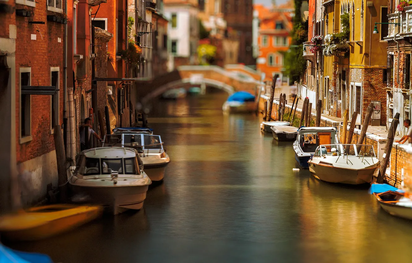 Photo wallpaper flowers, bridge, boat, home, morning, boat, Italy, Venice