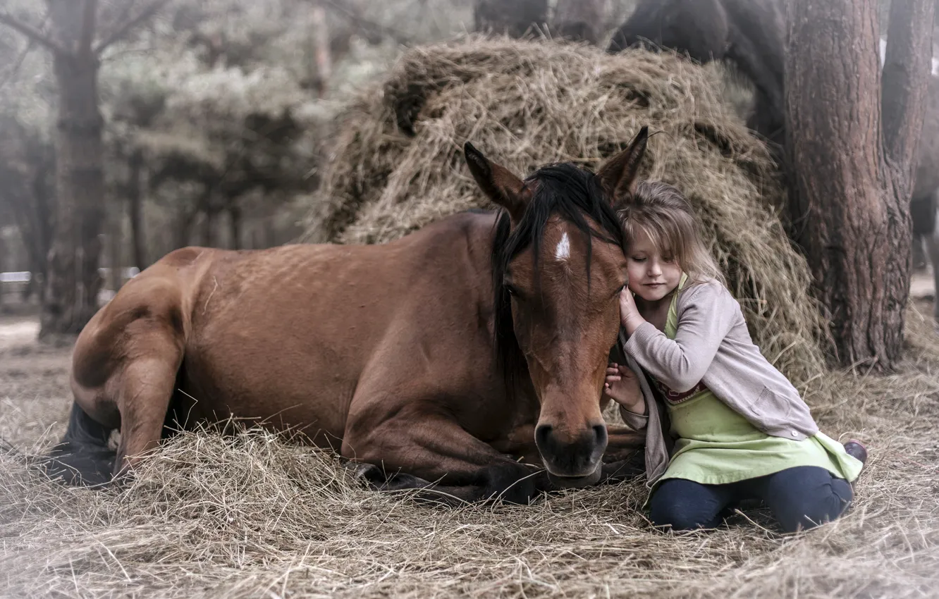 Photo wallpaper mood, horse, girl