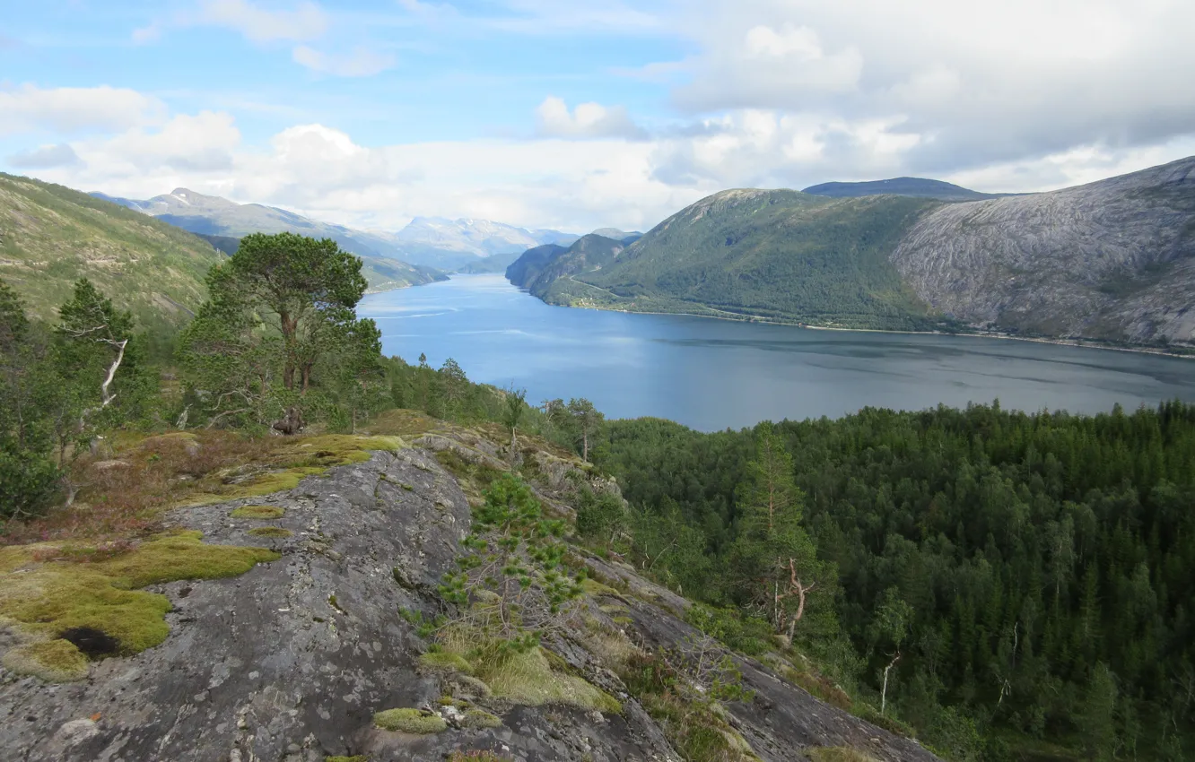 Photo wallpaper mountains, stones, moss, pine, fjord