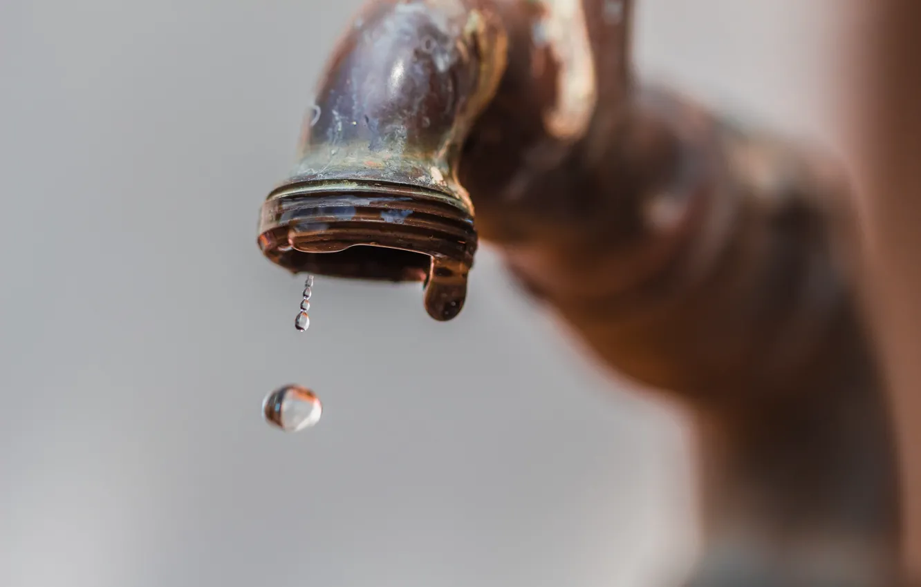 Photo wallpaper drops, macro, crane