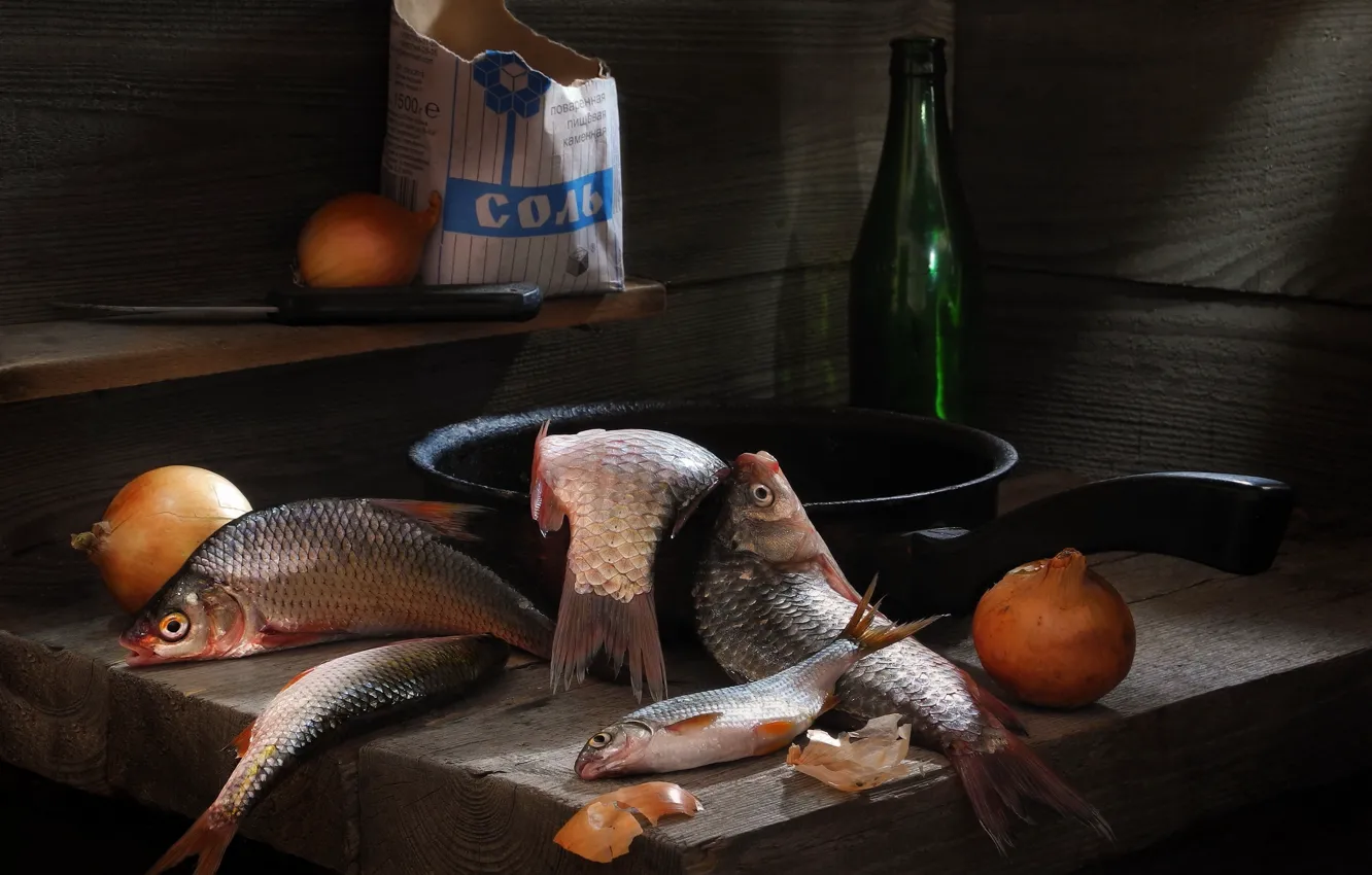 Photo wallpaper fish, bow, salt, roach, carp