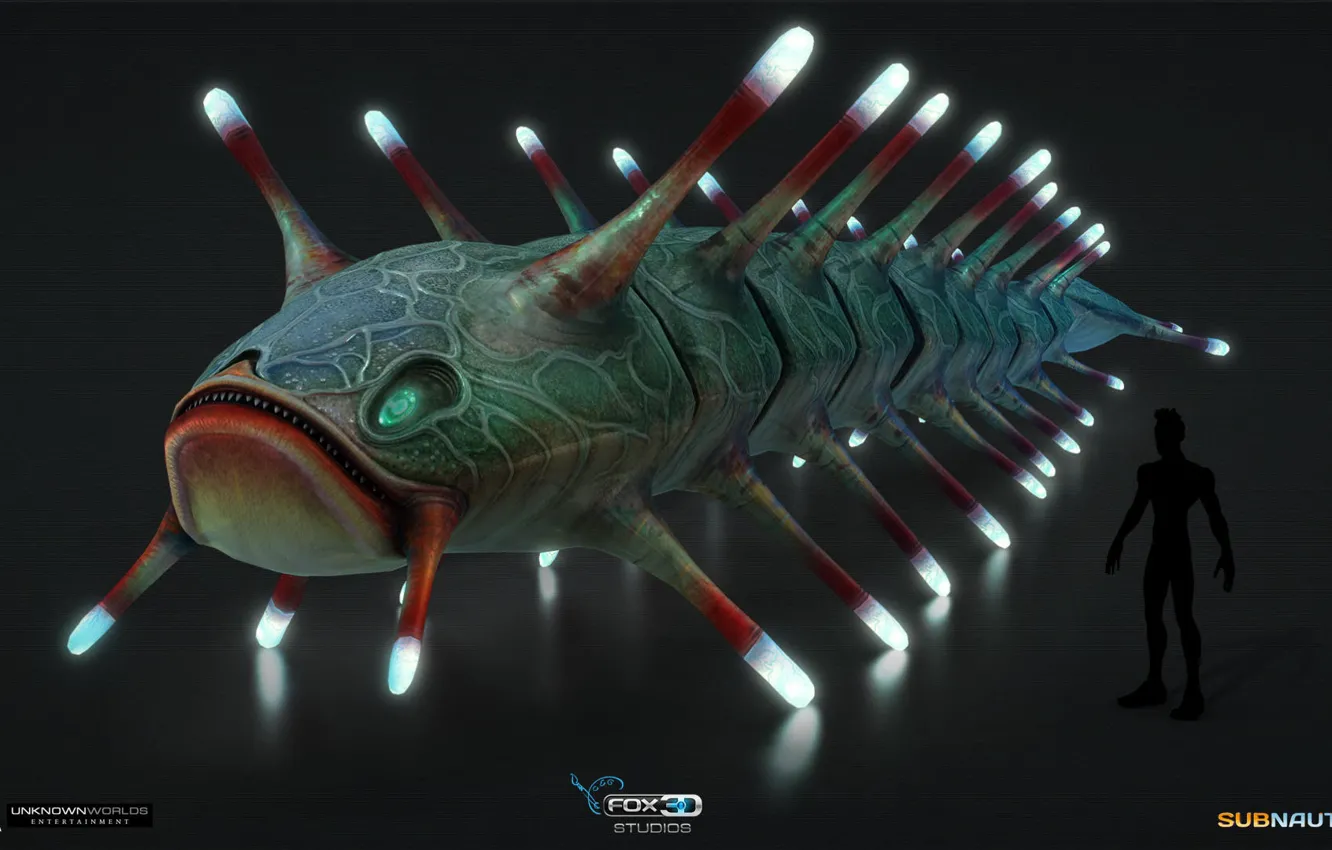 Photo wallpaper face, people, view, being, Subnautica