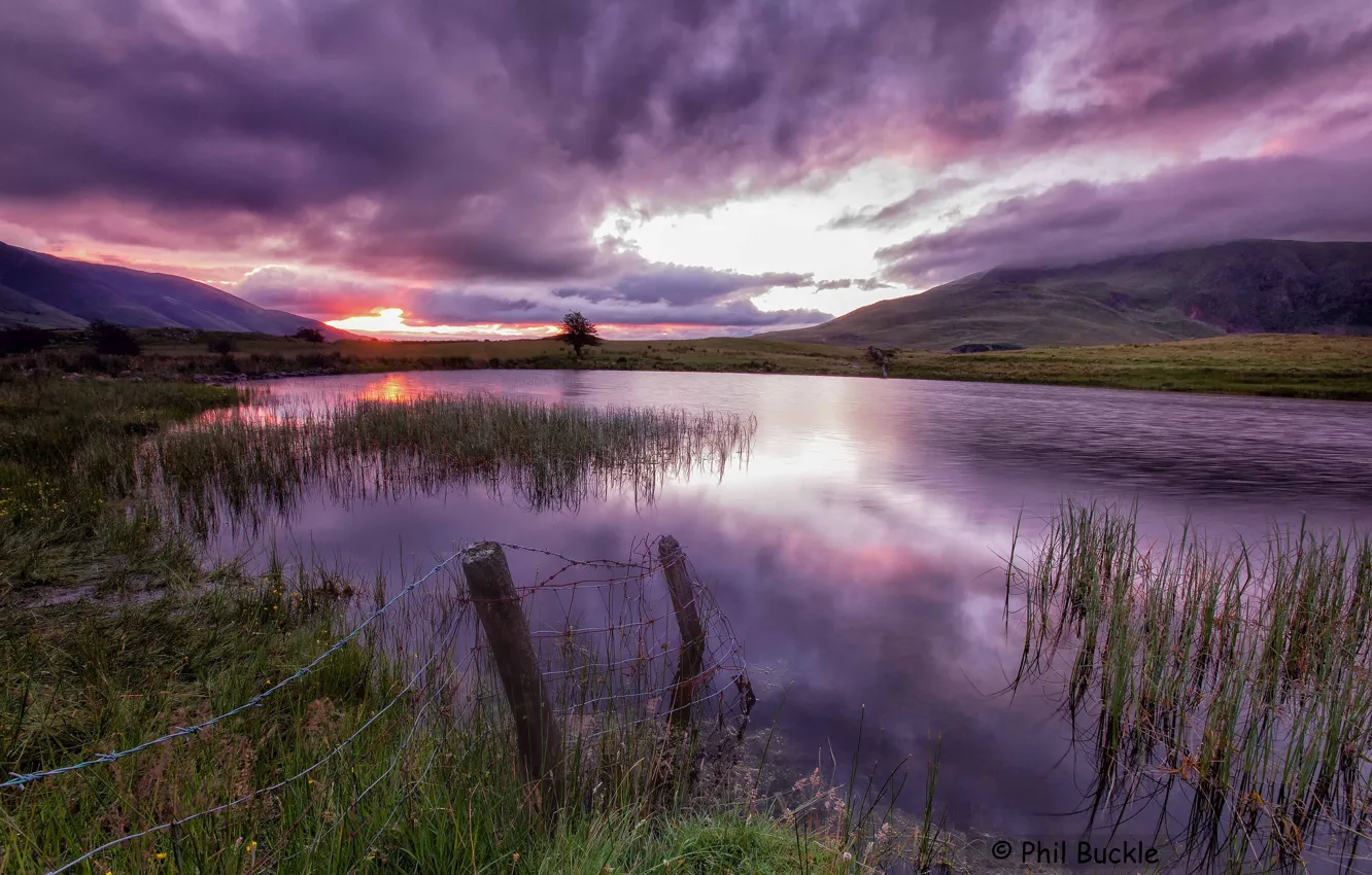 Photo wallpaper the sky, grass, sunset, lake, paint