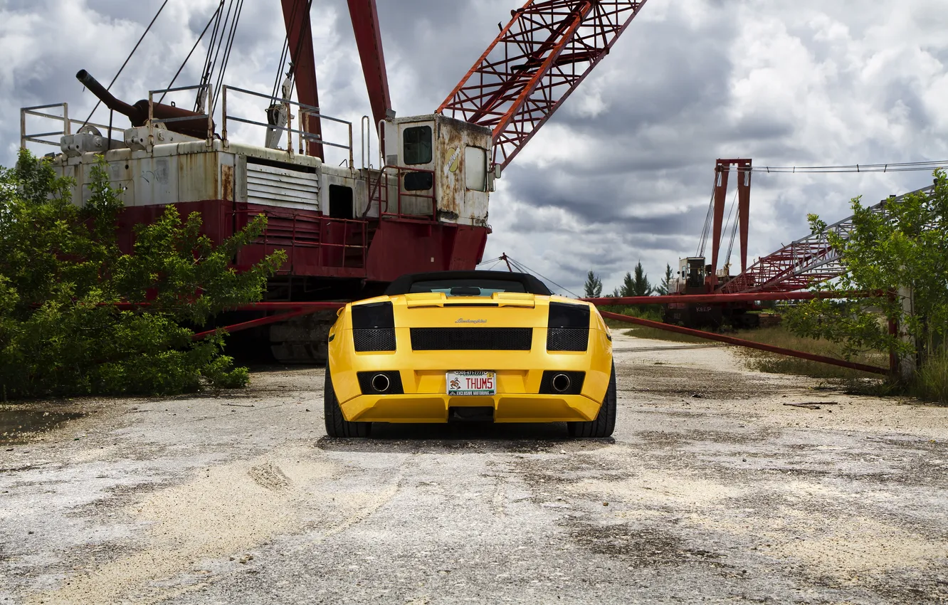 Photo wallpaper trees, yellow, Lamborghini, the fence, Gallardo, convertible, yellow, back