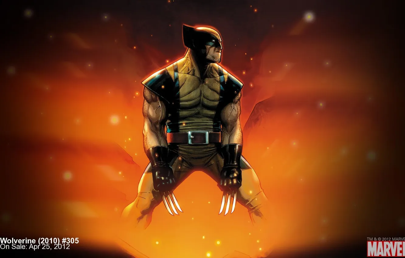 Photo wallpaper Wolverine, Wolverine, Marvel, comic