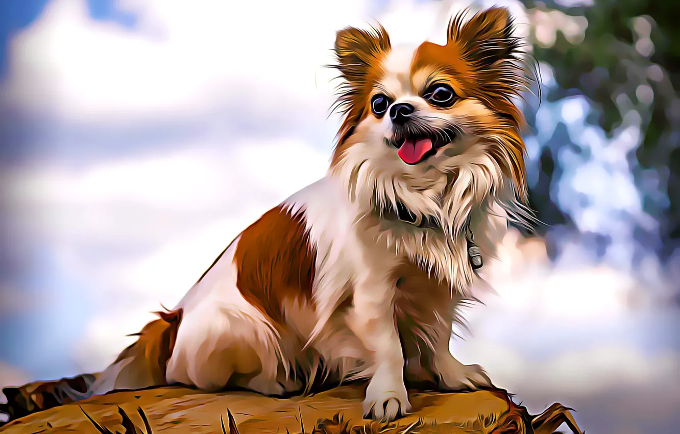 Photo wallpaper dog, baby, Chihuahua, dog, dog, computer graphics, pet, pet