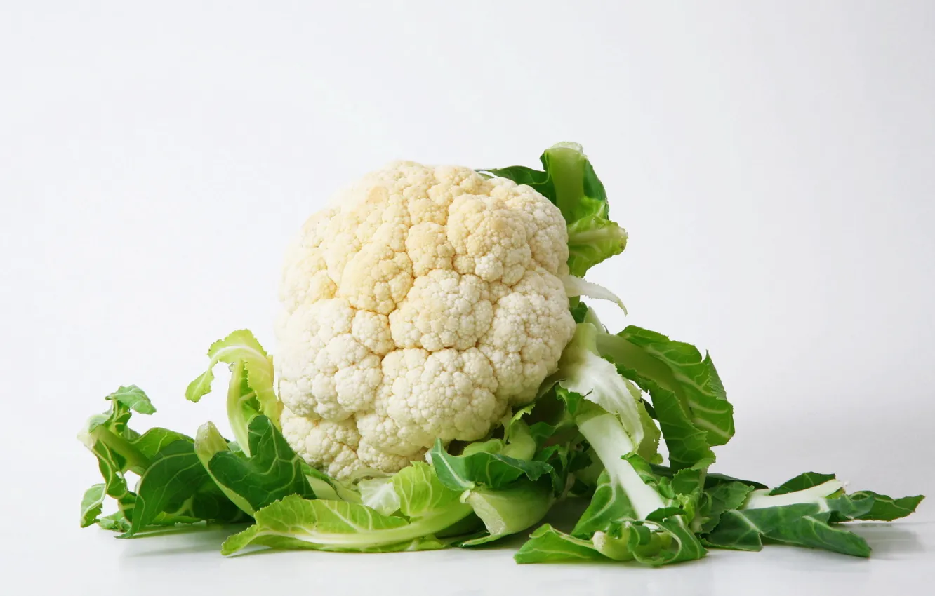 Photo wallpaper leaves, colored, grey background, cabbage