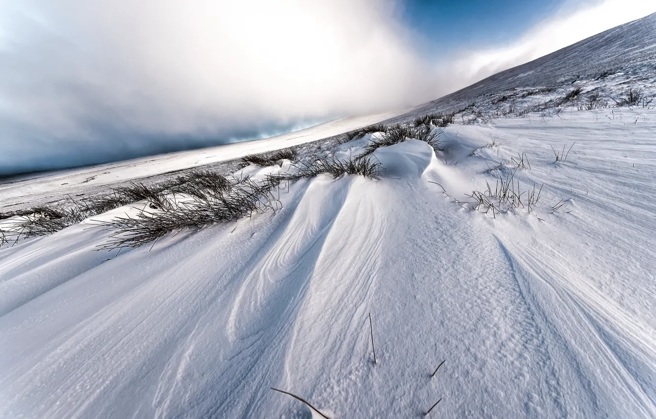 Photo wallpaper winter, field, snow