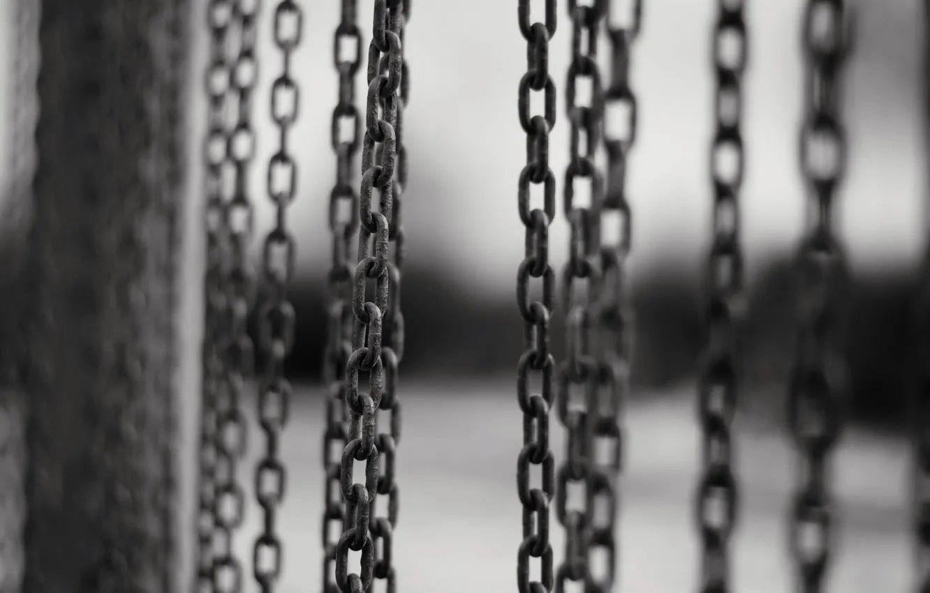 Photo wallpaper macro, background, chain