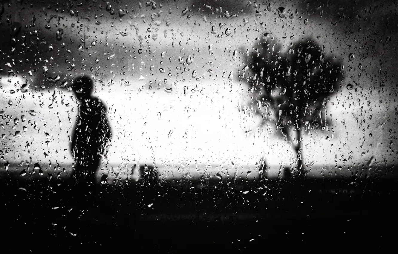 Photo wallpaper glass, drops, trees, silhouette, b & W photo