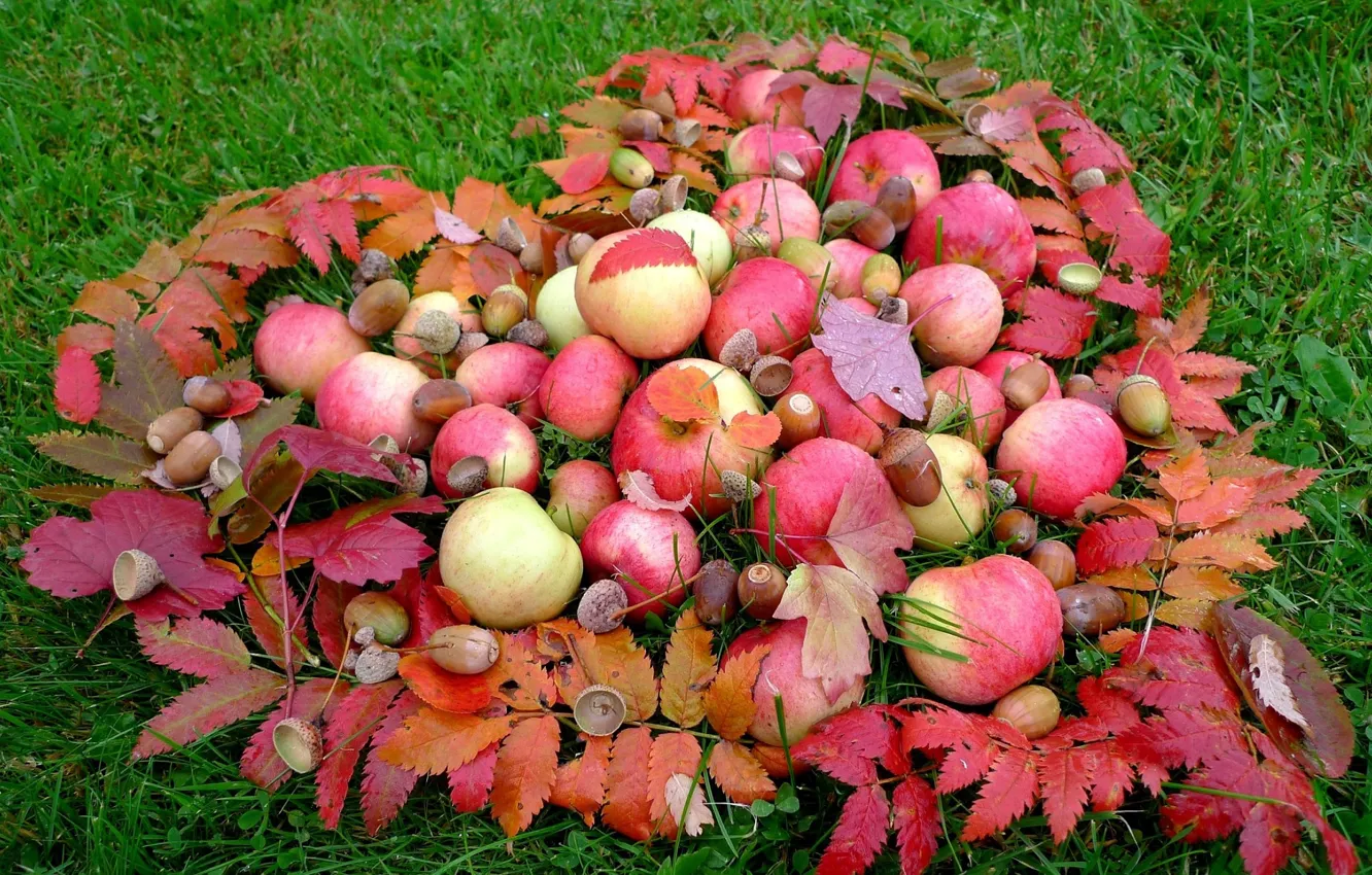 Photo wallpaper autumn, leaves, apples