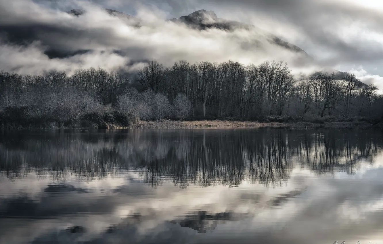 Photo wallpaper forest, fog, river