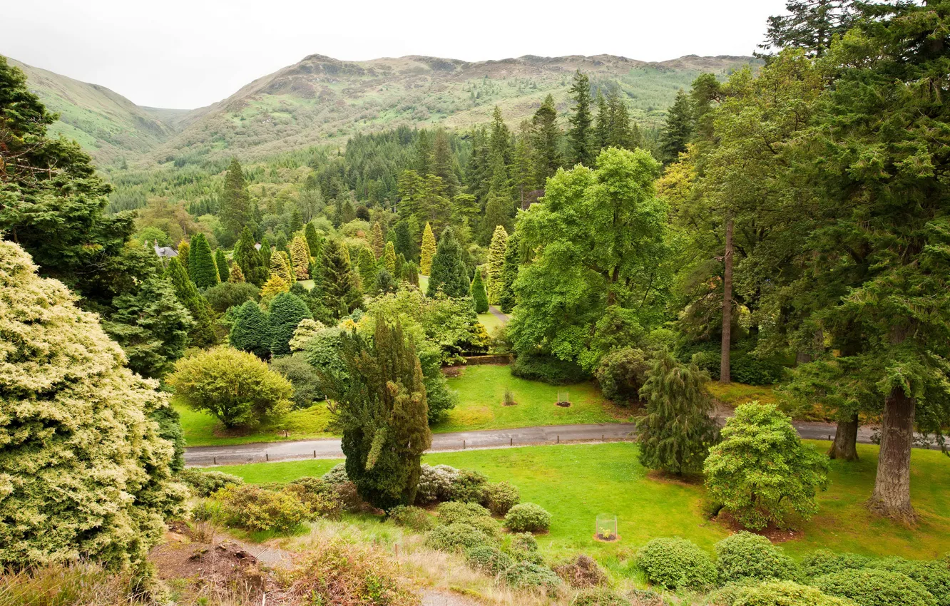 Photo wallpaper greens, trees, mountains, Scotland, the bushes, Younger, gardens, Benmore
