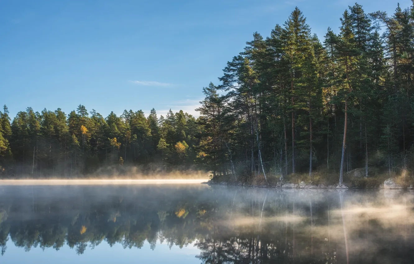 Photo wallpaper fog, lake, morning