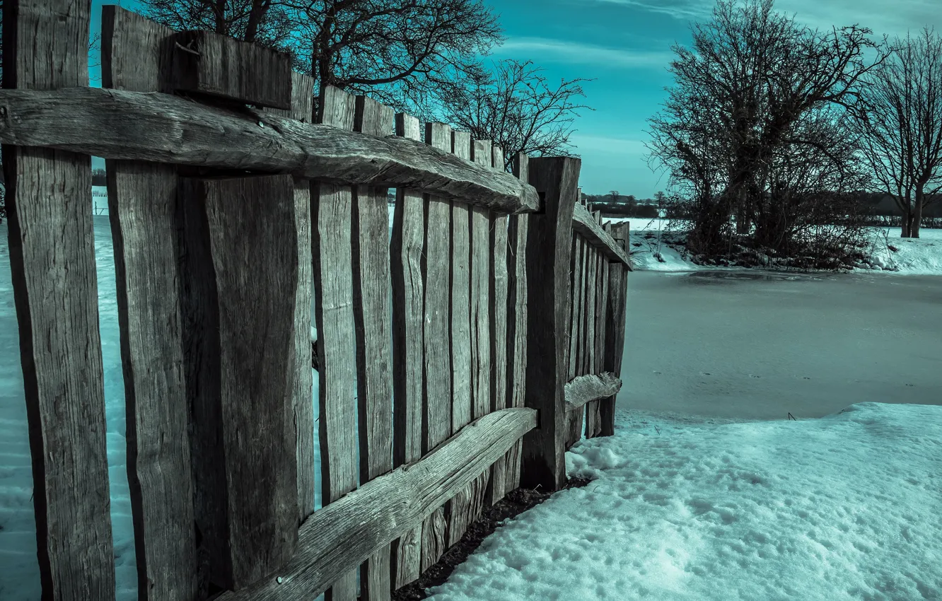 Photo wallpaper winter, snow, tree, the fence