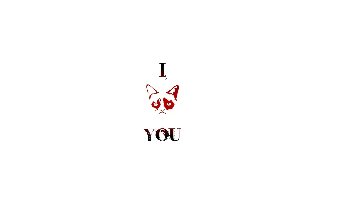 Photo wallpaper cat, evil, hatred