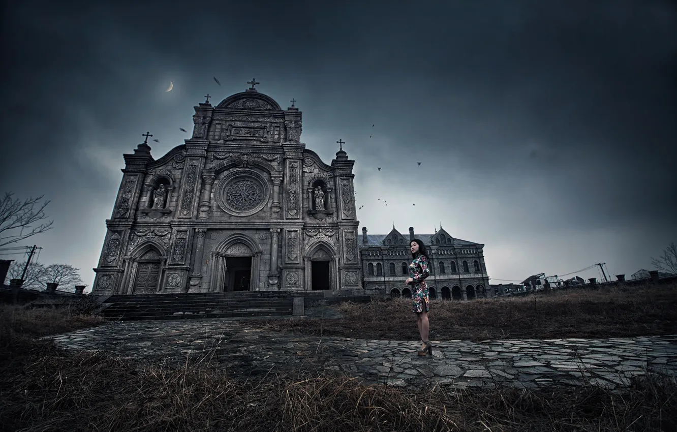 Photo wallpaper girl, bird, dress, twilight, the monastery
