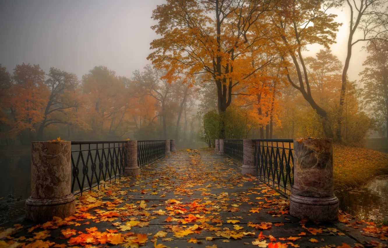 Photo wallpaper autumn, leaves, trees, bridge, nature, fog, Park, Gordeev Edward