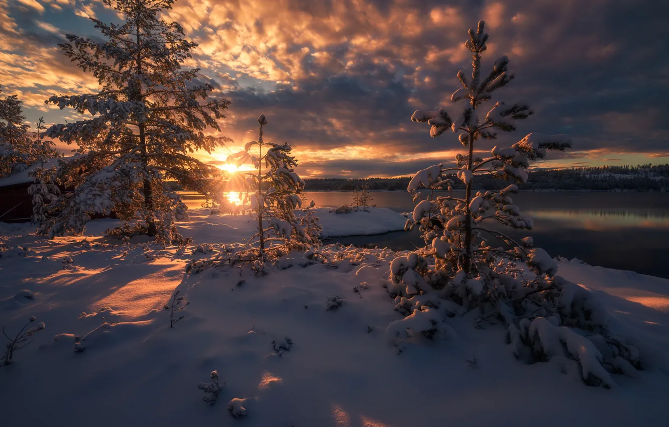 Photo wallpaper winter, snow, trees, sunset, lake, ate, Norway, Norway