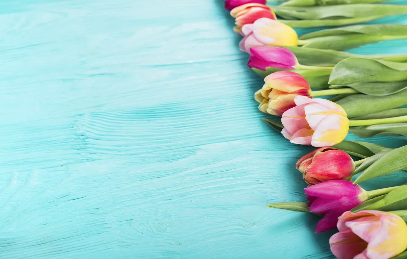 Photo wallpaper flowers, colorful, tulips, pink, wood, pink, flowers, tulips