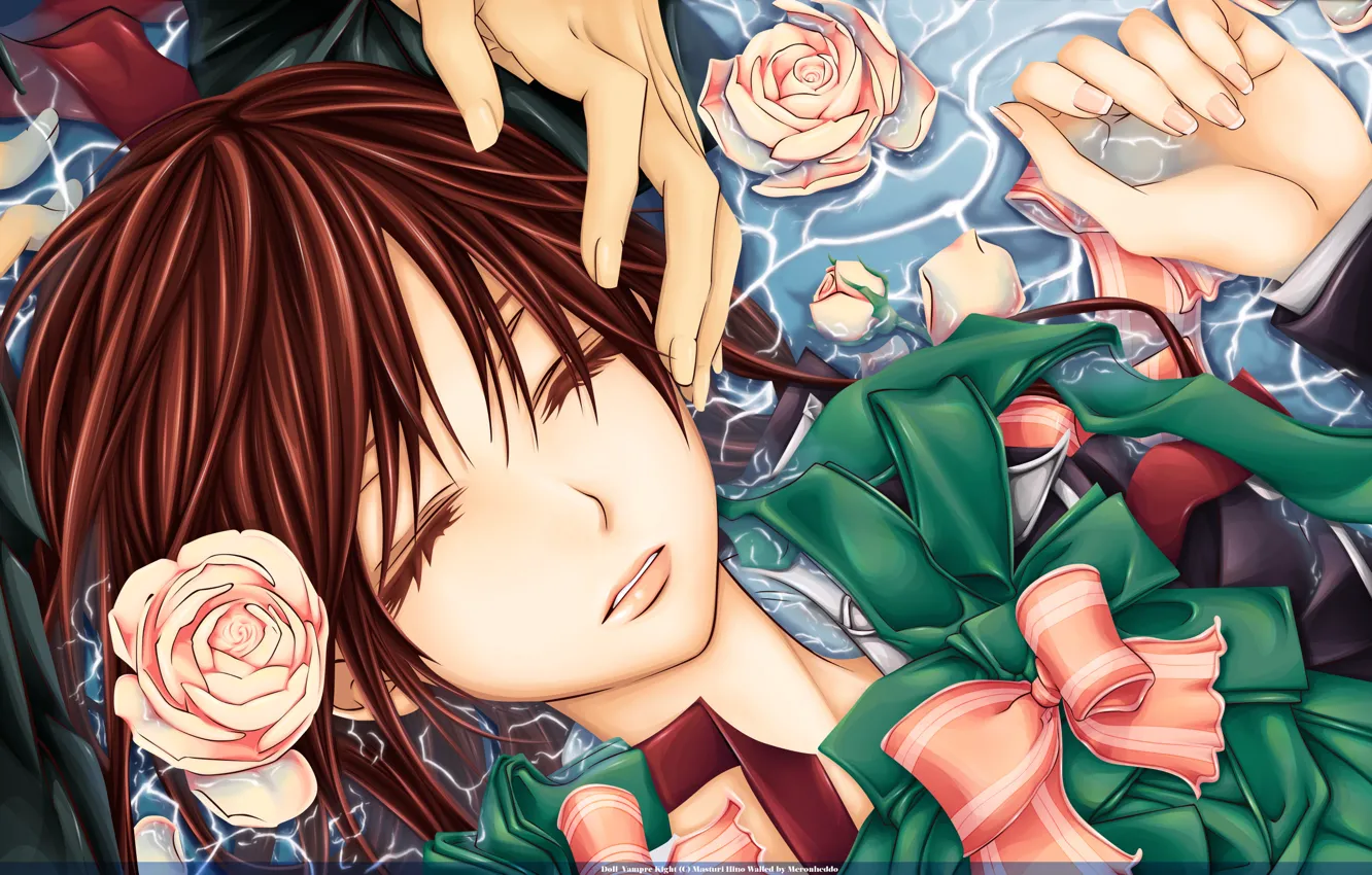 Photo wallpaper water, calm, roses, hands, bow, vampire knight, yuki