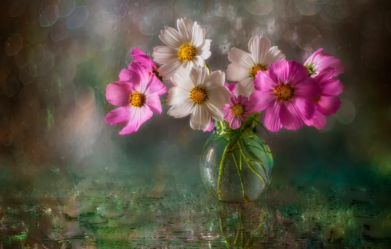 Photo wallpaper wet, water, drops, flowers, glare, background, vase, bokeh