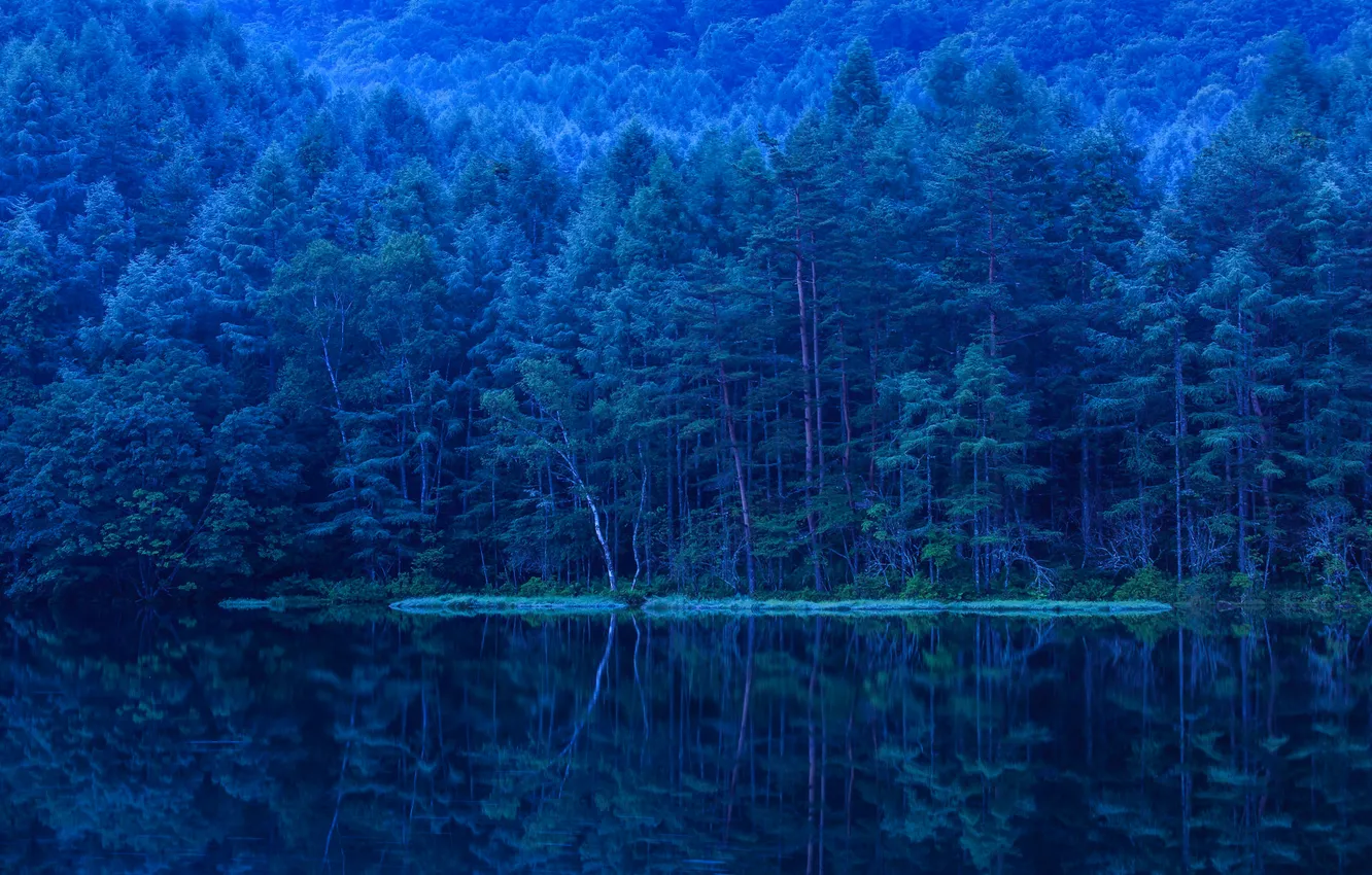 Photo wallpaper forest, trees, lake, reflection