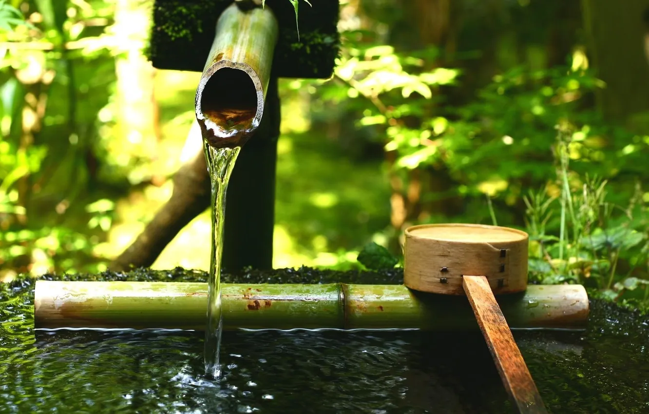 Photo wallpaper greens, water, stones, bucket, Japanese garden, bamboo, tsukubai