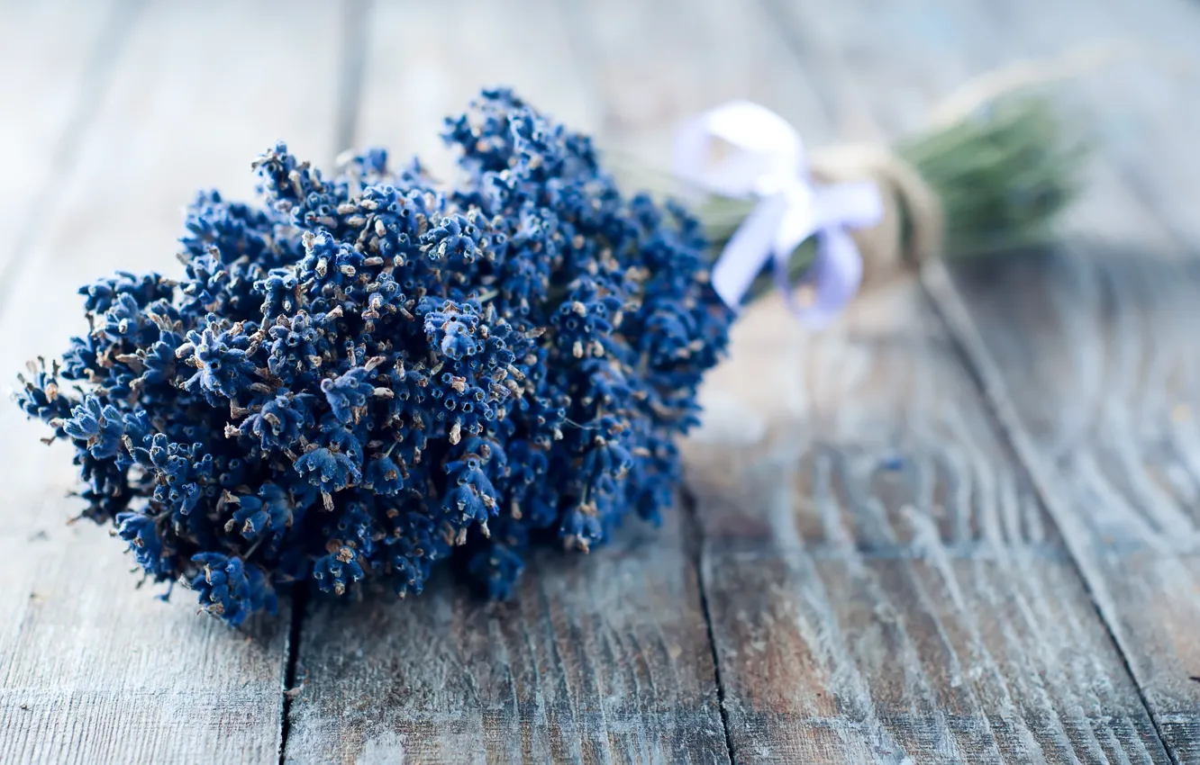 Photo wallpaper flowers, bouquet, tape, lavender