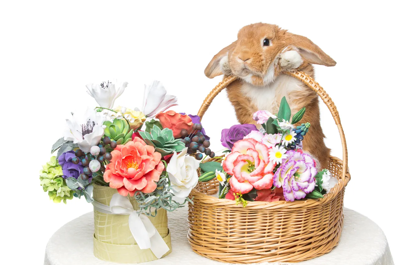 Photo wallpaper flowers, basket, rabbit, Easter, happy, rabbit, flowers, spring