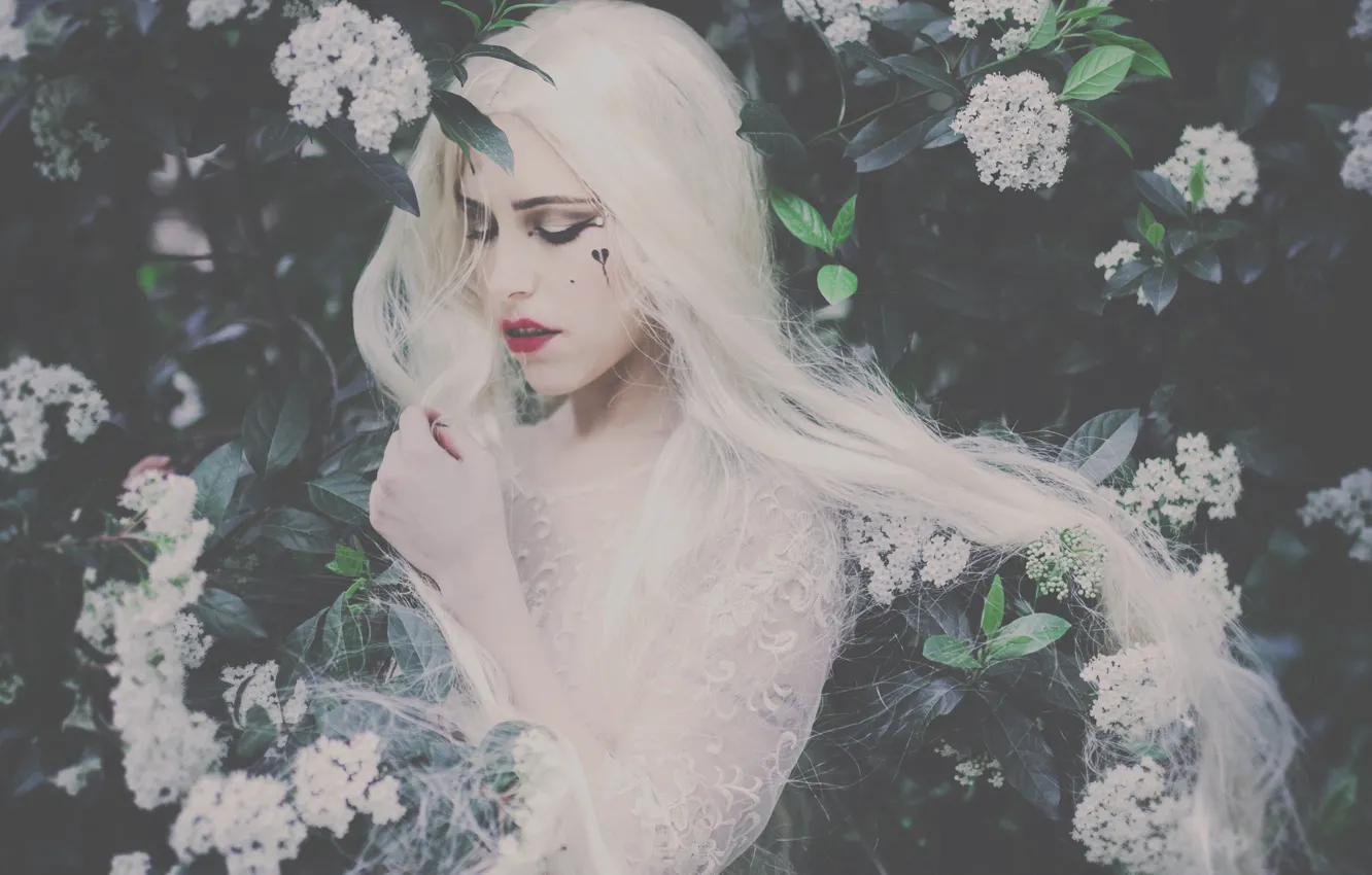 Photo wallpaper girl, mood, makeup, the bushes, long hair, white hair, flowers