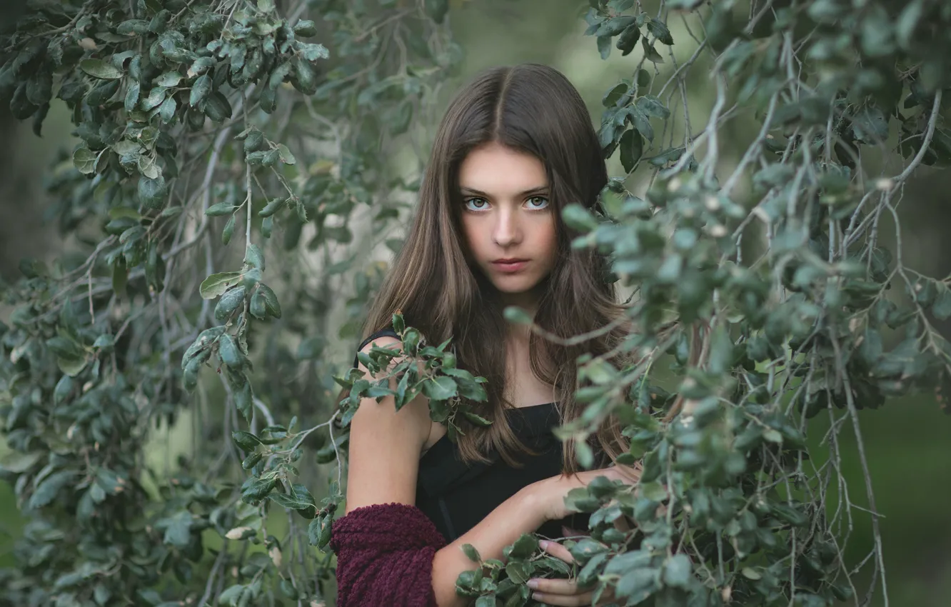 Wallpaper Greens Look Leaves Girl Branches Nature Face Pose For