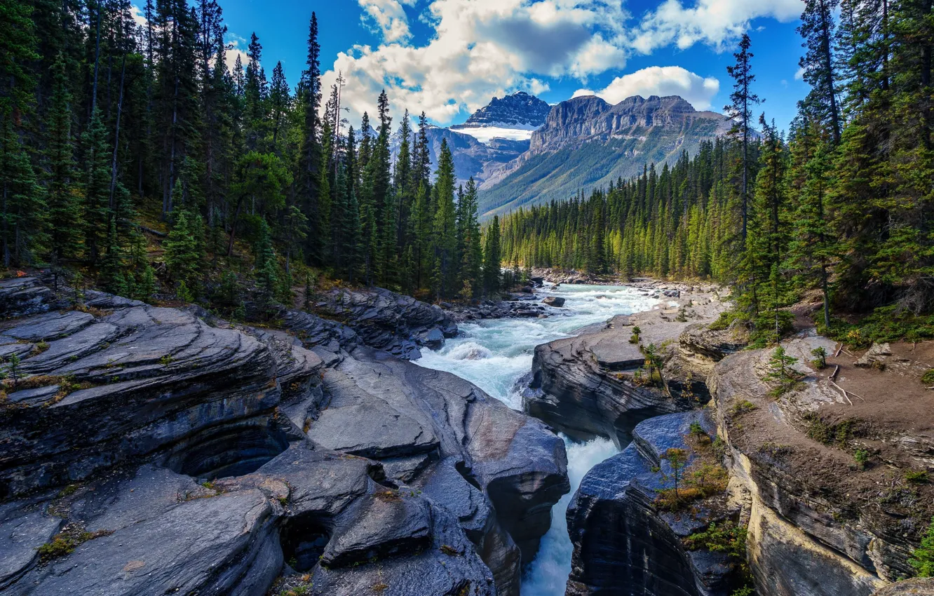 Photo wallpaper forest, landscape, mountains, nature, river, stones, Canada, Albert